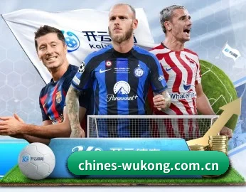 平台简介 - 体育资讯内容服务 - wukongsports